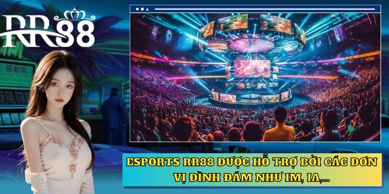 Esports RR88 được hỗ trợ bởi các đơn vị đình đám như IM, IA,...